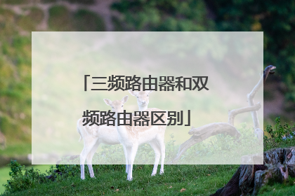 三频路由器和双频路由器区别