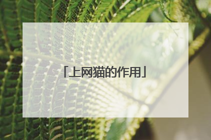 上网猫的作用