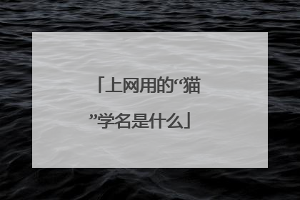 上网用的“猫”学名是什么