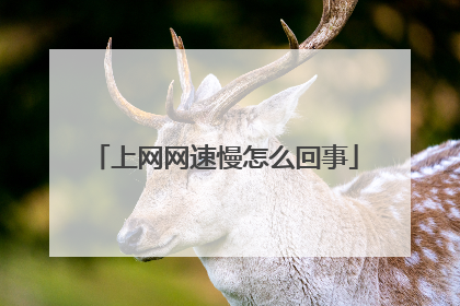 上网网速慢怎么回事