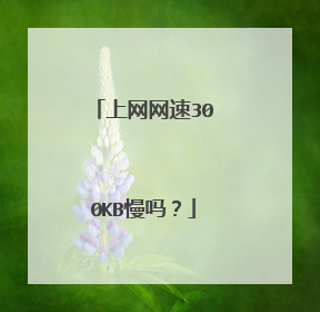 上网网速300KB慢吗?