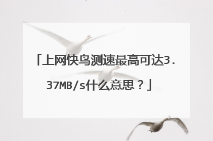 上网快鸟测速最高可达3.37MB/s什么意思?