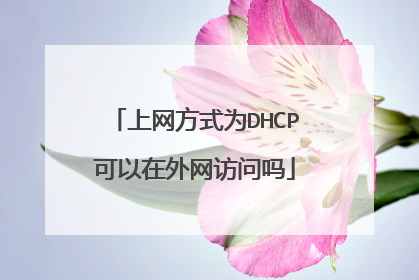 上网方式为DHCP可以在外网访问吗