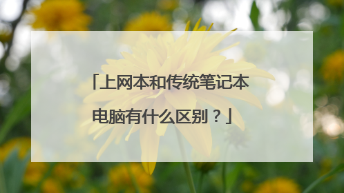 上网本和传统笔记本电脑有什么区别?