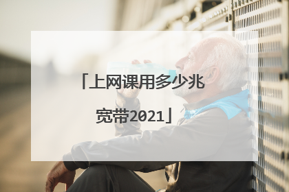 上网课用多少兆宽带2021