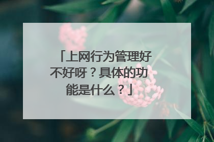 上网行为管理好不好呀?具体的功能是什么?