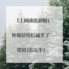 上网速度超慢(怀疑是电信减半了带宽)怎么半