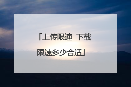 上传限速 下载限速多少合适