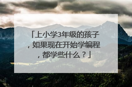 上小学3年级的孩子,如果现在开始学编程,都学些什么?