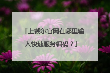 上戴尔官网在哪里输入快速服务编码?
