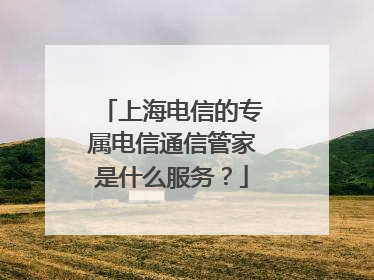 上海电信的专属电信通信管家是什么服务？