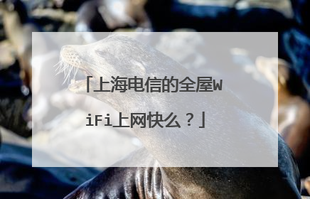 上海电信的全屋WiFi上网快么？