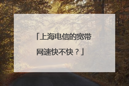 上海电信的宽带网速快不快?