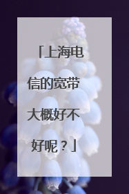 上海电信的宽带大概好不好呢?