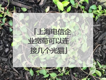 上海电信企业宽带可以连接几个光猫