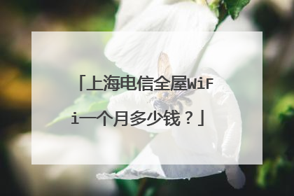 上海电信全屋WiFi一个月多少钱?