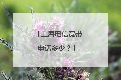 上海电信宽带电话多少?