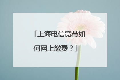 上海电信宽带如何网上缴费？
