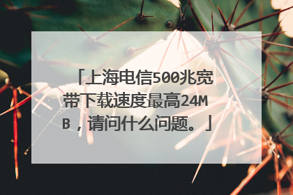 上海电信500兆宽带下载速度最高24MB,请问什么问题。