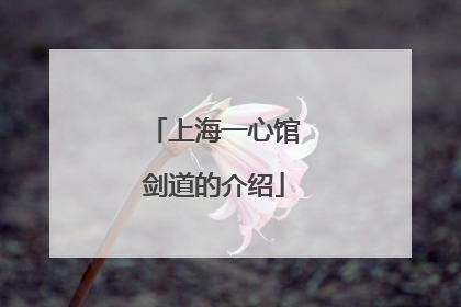 上海一心馆剑道的介绍