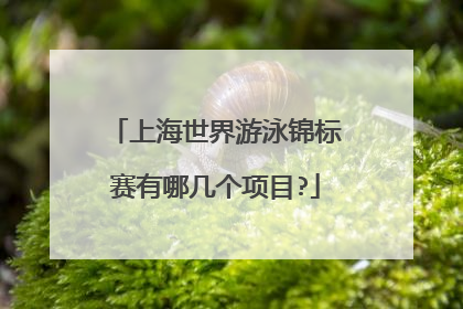 上海世界游泳锦标赛有哪几个项目?