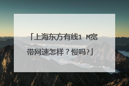 上海东方有线1 M宽带网速怎样?慢吗?