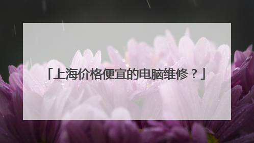 上海价格便宜的电脑维修?