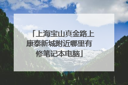 上海宝山真金路上康泰新城附近哪里有修笔记本电脑