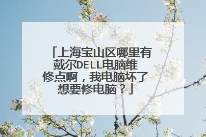 上海宝山区哪里有戴尔DELL电脑维修点啊,我电脑坏了想要修电脑?
