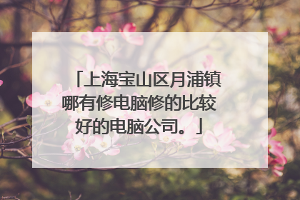 上海宝山区月浦镇哪有修电脑修的比较好的电脑公司。