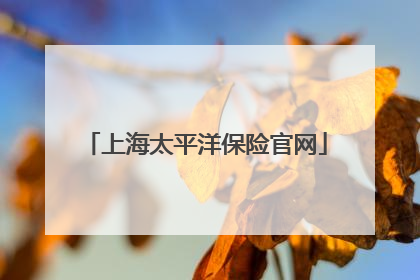 上海太平洋保险官网