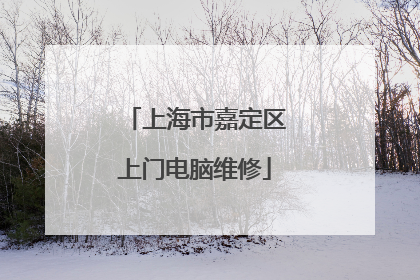 上海市嘉定区上门电脑维修