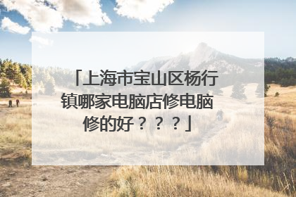 上海市宝山区杨行镇哪家电脑店修电脑修的好？？？