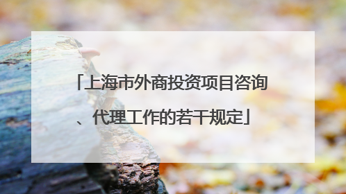 上海市外商投资项目咨询、代理工作的若干规定
