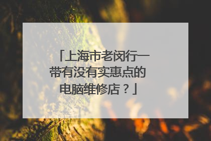 上海市老闵行一带有没有实惠点的电脑维修店?