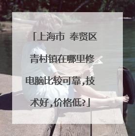 上海市 奉贤区 青村镇在哪里修电脑比较可靠,技术好,价格低?