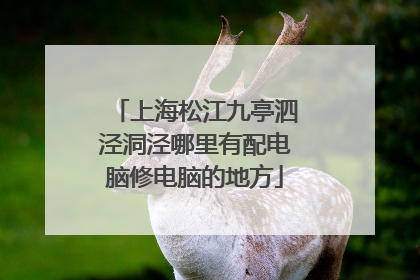 上海松江九亭泗泾洞泾哪里有配电脑修电脑的地方