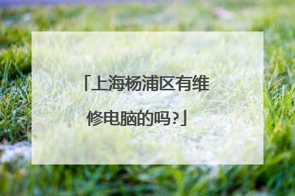 上海杨浦区有维修电脑的吗?