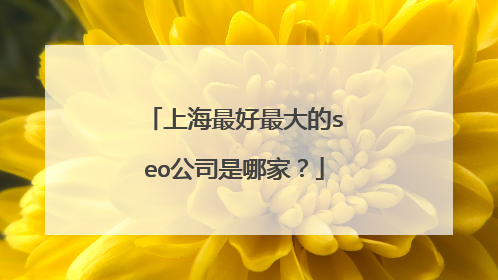 上海最好最大的seo公司是哪家?