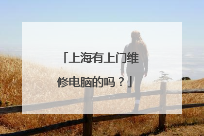 上海有上门维修电脑的吗?