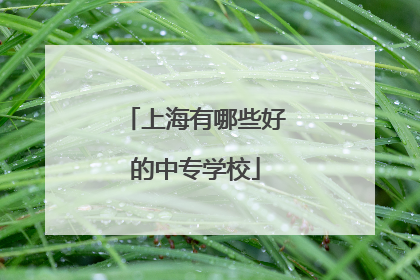 上海有哪些好的中专学校
