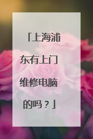 上海浦东有上门维修电脑的吗?