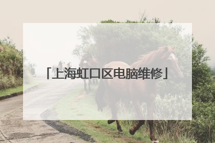 上海虹口区电脑维修