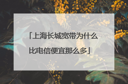 上海长城宽带为什么比电信便宜那么多