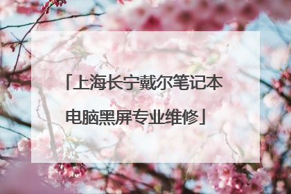 上海长宁戴尔笔记本电脑黑屏专业维修