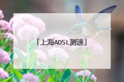 上海ADSL测速