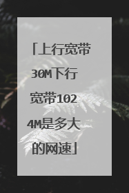 上行宽带30M下行宽带1024M是多大的网速