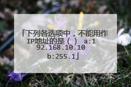 下列各选项中，不能用作IP地址的是（） a:192.168.10.10 b:255.1