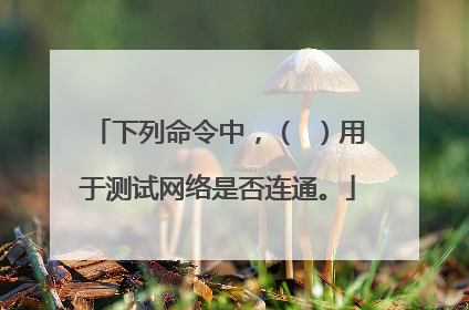 下列命令中,( )用于测试网络是否连通。