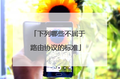 下列哪些不属于路由协议的标准